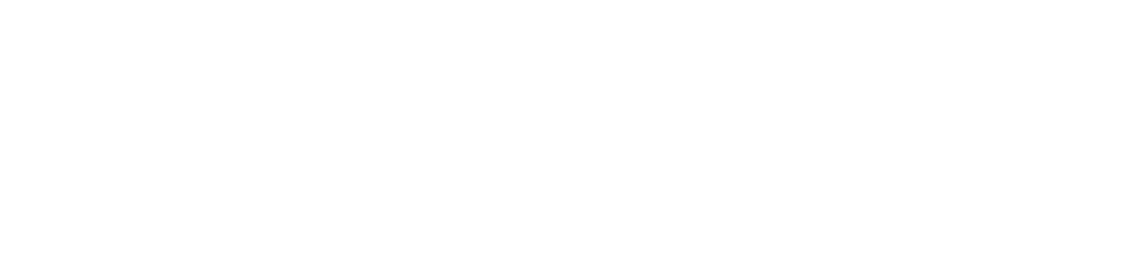 DIE_ZEIT_Logo_weiss